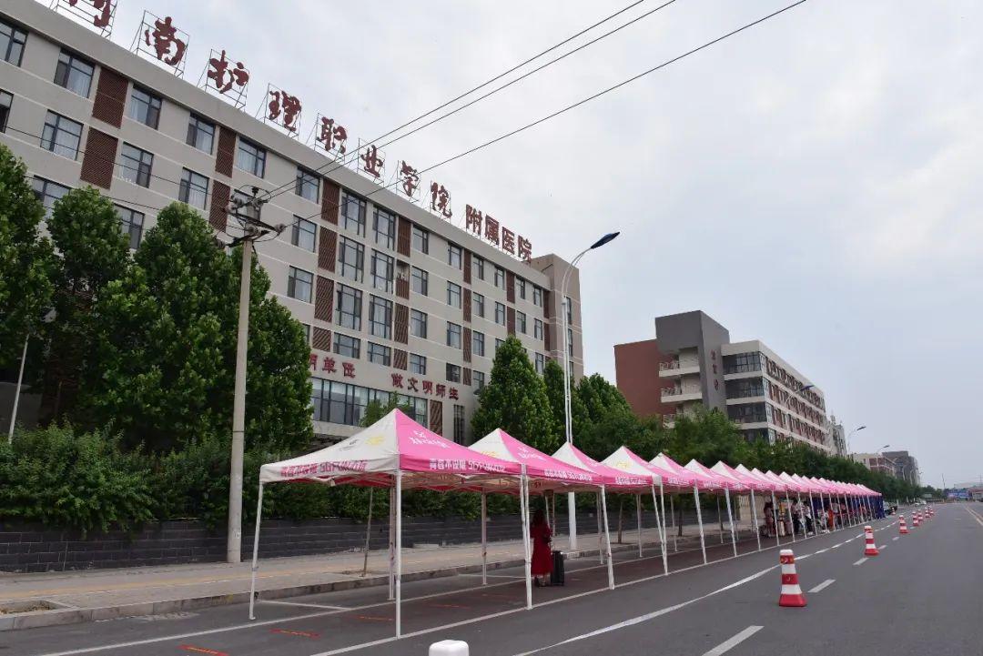 河南攻略，高效完成XX任务/掌握XX技能指南