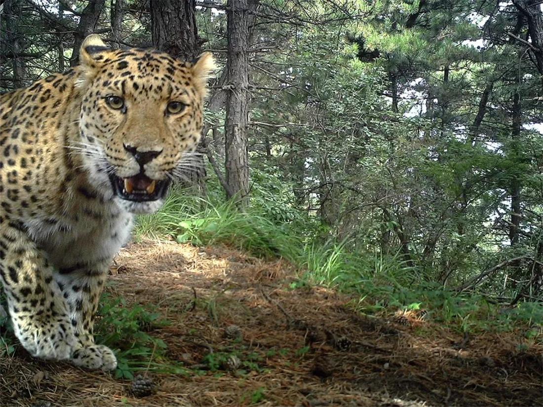 承德，温馨日常中的故事之旅